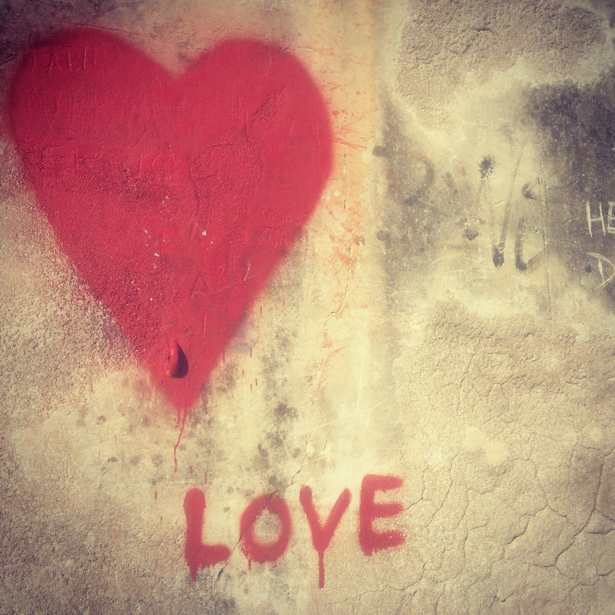 Ljubljana Loves